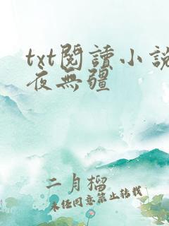 txt阅读小说夜无疆