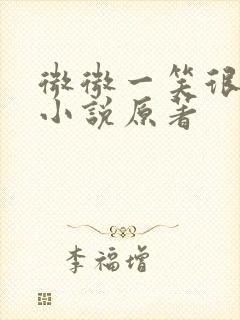 微微一笑很倾城小说原著