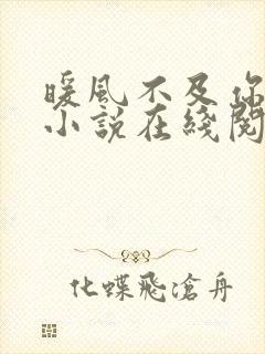 暖风不及你情深小说在线阅读全文