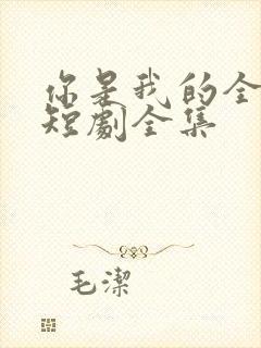 你是我的全世界短剧全集