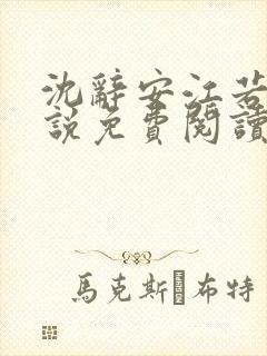 沈辞安江若兮小说免费阅读无弹窗