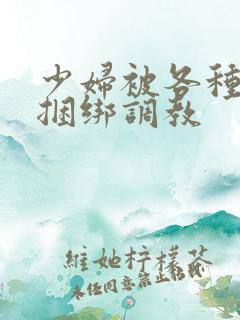 少妇被各种姿势捆绑调教