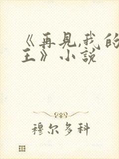 《再见,我的国王》小说