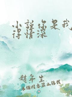 小说你是我的难得情深