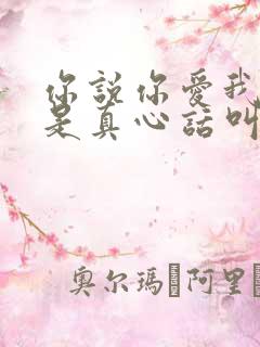 你说你爱我是不是真心话叫啥歌名