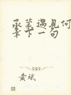 承蒙遇见何其有幸下一句