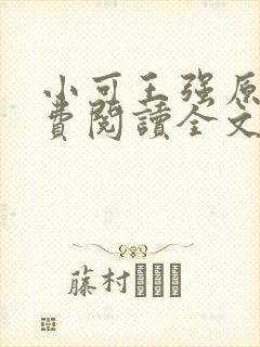 小可王强原文免费阅读全文最新章节