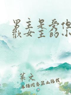 男主是受但是喜欢女主的小说