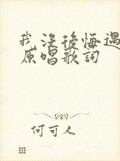 我没后悔遇见你原唱歌词