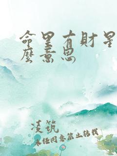 命里有财星是什么意思