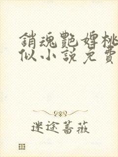 销魂艳婢桃儿类似小说免费阅读