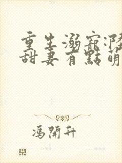 重生溺宠:陆少甜妻有点萌