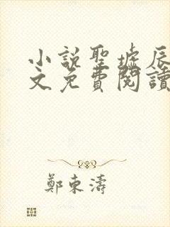 小说圣墟辰东全文免费阅读