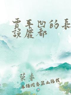 贾平凹的长篇小说废都