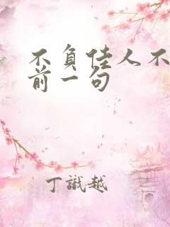 不负佳人不负卿前一句