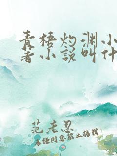 青梧灼渊小说原著小说叫什么名字