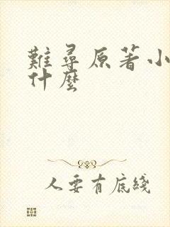 难寻原著小说叫什么