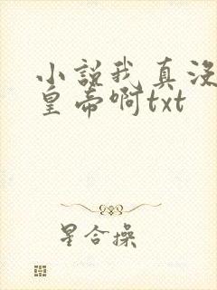 小说我真没想当皇帝啊txt