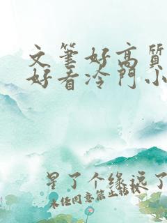 文笔好高质量超好看冷门小说