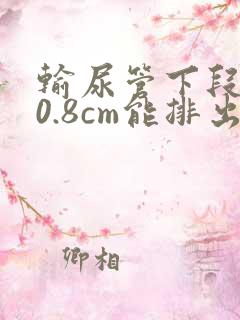 输尿管下段结石0.8cm能排出来吗