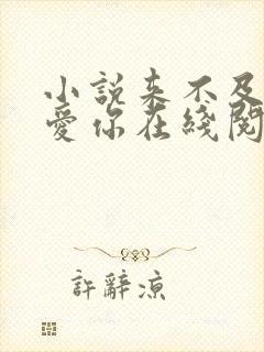 小说来不及说我爱你在线阅读