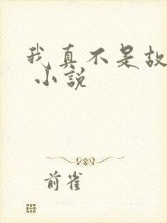 我真不是故意的 小说
