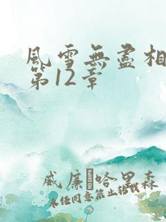 风雪无尽相思情第12章