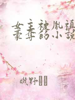 女主被胤禛强取豪夺的小说