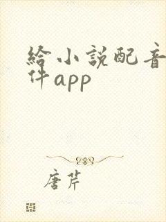 给小说配音的软件app