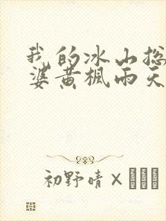 我的冰山总裁老婆黄枫雨天