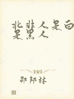 北非人是白人还是黑人