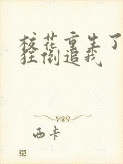 校花重生了,疯狂倒追我