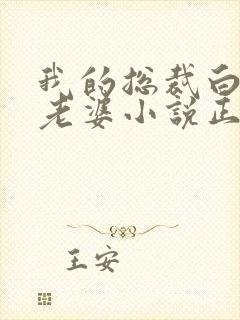 我的总裁白富美老婆小说正版