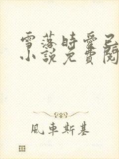 雪落时爱已落幕小说免费阅读