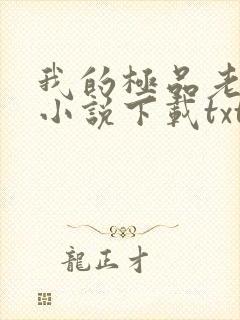 我的极品老婆 小说下载txt