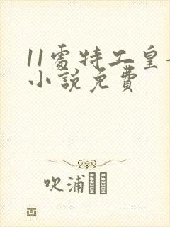 11处特工皇妃小说免费