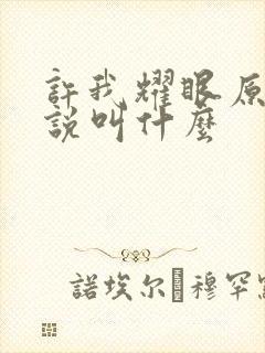 许我耀眼原著小说叫什么