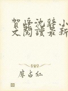 贺峥沈辞小说全文阅读最新章节