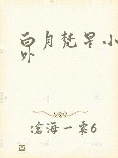 白月梵星小说番外