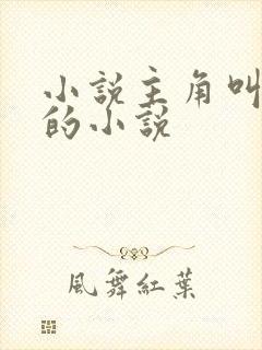 小说主角叫苏明的小说