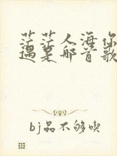 茫茫人海你我相遇是哪首歌的歌词