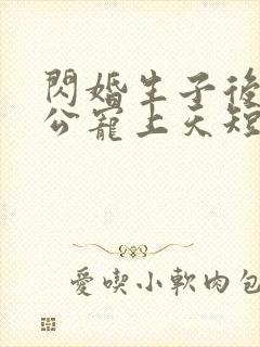 闪婚生子后被老公宠上天短剧完整版观看