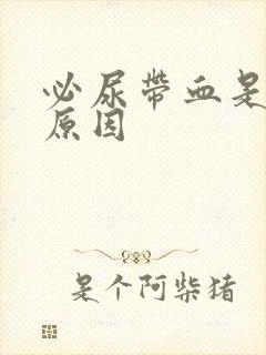 必尿带血是什么原因