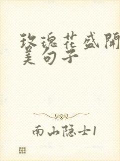 玫瑰花盛开的唯美句子