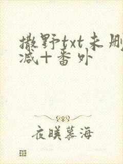 撒野txt未删减+番外