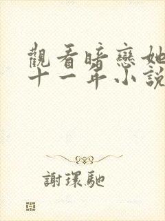 观看暗恋她的第十一年小说