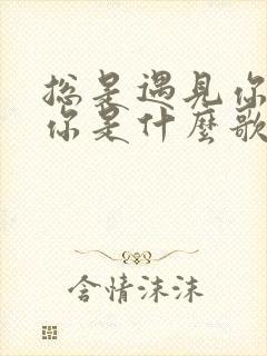 总是遇见你遇见你是什么歌