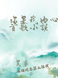 你是我内心的一首歌小说
