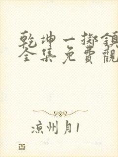 乾坤一掷镇山河全集免费观看