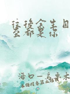 往后余生目光所至都是你